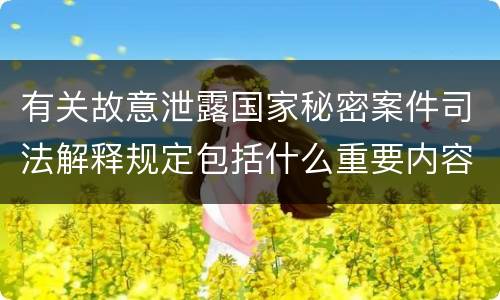 有关故意泄露国家秘密案件司法解释规定包括什么重要内容