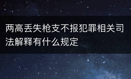 两高丢失枪支不报犯罪相关司法解释有什么规定