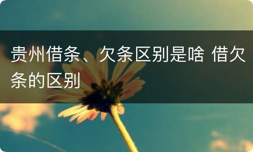 贵州借条、欠条区别是啥 借欠条的区别