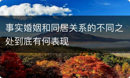 事实婚姻和同居关系的不同之处到底有何表现