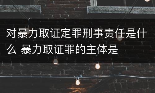 对暴力取证定罪刑事责任是什么 暴力取证罪的主体是