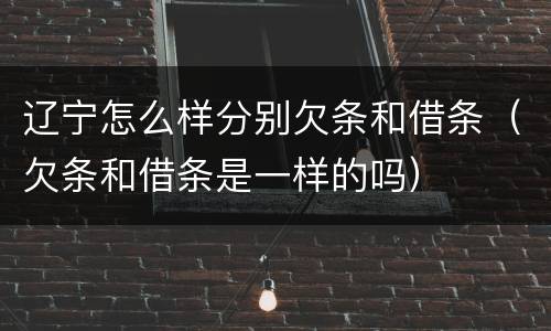 辽宁怎么样分别欠条和借条（欠条和借条是一样的吗）
