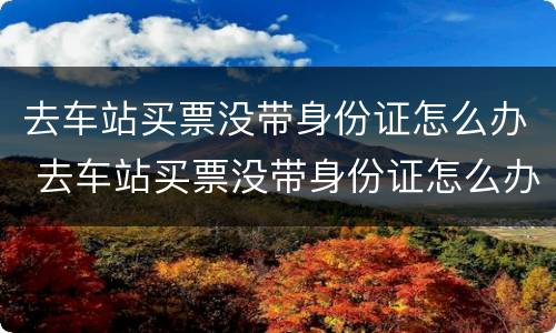 去车站买票没带身份证怎么办 去车站买票没带身份证怎么办啊