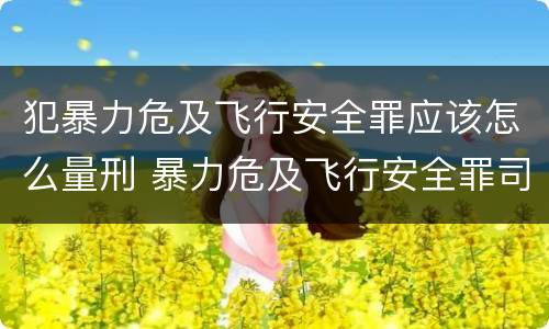 犯暴力危及飞行安全罪应该怎么量刑 暴力危及飞行安全罪司法解释
