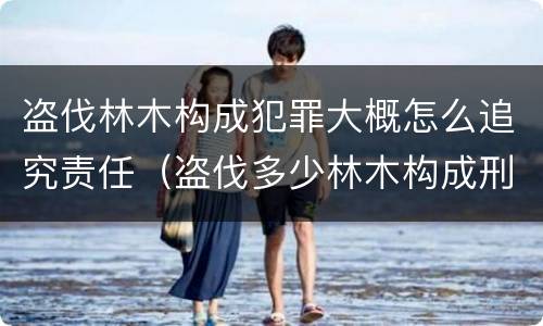 盗伐林木构成犯罪大概怎么追究责任（盗伐多少林木构成刑事犯罪）