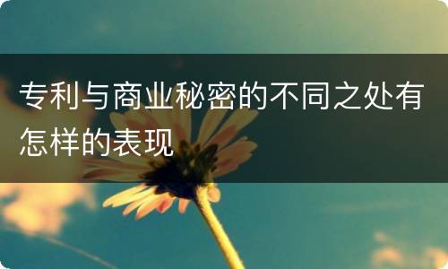 专利与商业秘密的不同之处有怎样的表现