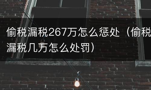 偷税漏税267万怎么惩处（偷税漏税几万怎么处罚）