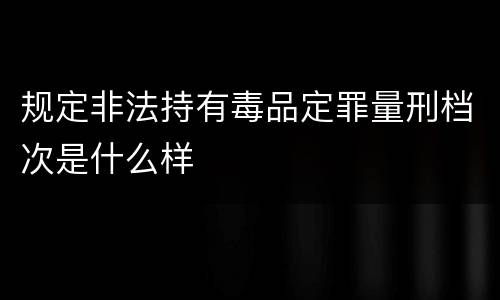 规定非法持有毒品定罪量刑档次是什么样