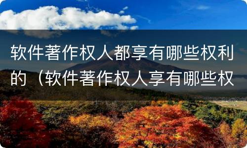 软件著作权人都享有哪些权利的（软件著作权人享有哪些权利?）