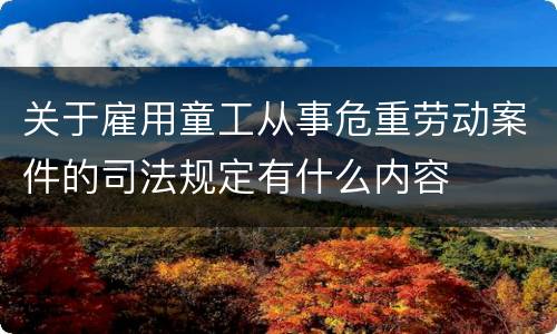 关于雇用童工从事危重劳动案件的司法规定有什么内容