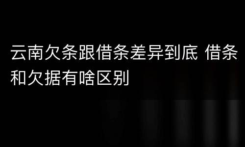 云南欠条跟借条差异到底 借条和欠据有啥区别