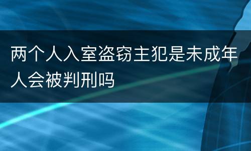 两个人入室盗窃主犯是未成年人会被判刑吗