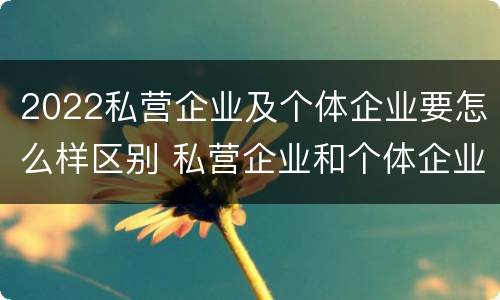 2022私营企业及个体企业要怎么样区别 私营企业和个体企业