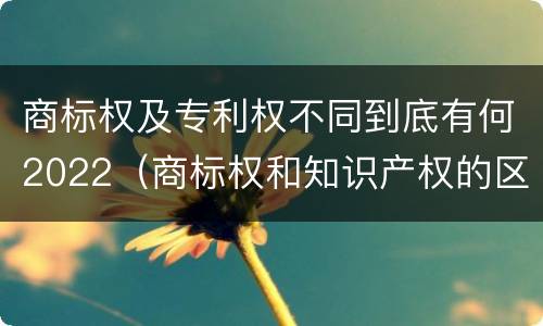商标权及专利权不同到底有何2022（商标权和知识产权的区别）