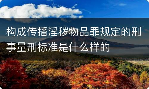 构成传播淫秽物品罪规定的刑事量刑标准是什么样的