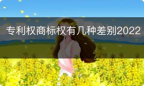 专利权商标权有几种差别2022