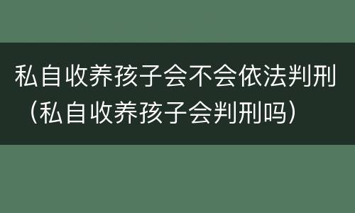 私自收养孩子会不会依法判刑（私自收养孩子会判刑吗）