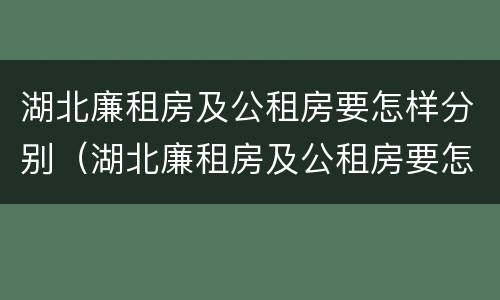 湖北廉租房及公租房要怎样分别（湖北廉租房及公租房要怎样分别摇号）