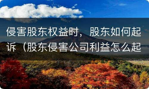 侵害股东权益时，股东如何起诉（股东侵害公司利益怎么起诉）
