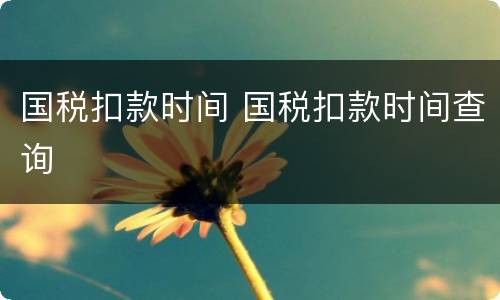 国税扣款时间 国税扣款时间查询