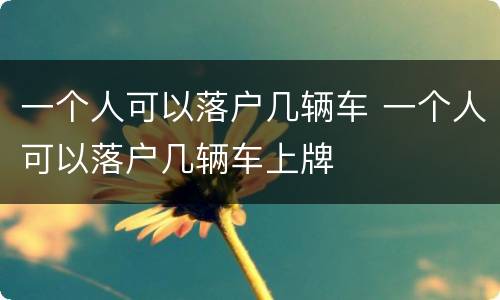 一个人可以落户几辆车 一个人可以落户几辆车上牌