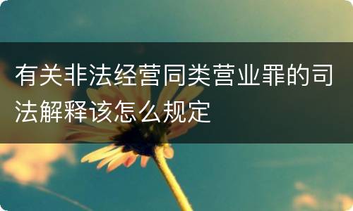 有关非法经营同类营业罪的司法解释该怎么规定