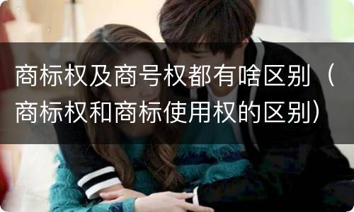 商标权及商号权都有啥区别（商标权和商标使用权的区别）