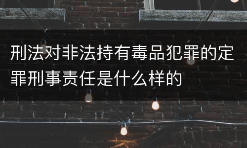 刑法对非法持有毒品犯罪的定罪刑事责任是什么样的