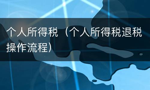 个人所得税（个人所得税退税操作流程）