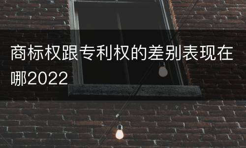 商标权跟专利权的差别表现在哪2022