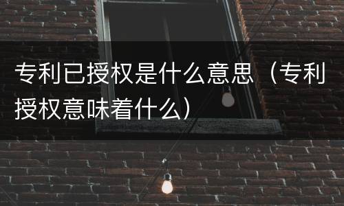 专利已授权是什么意思（专利授权意味着什么）