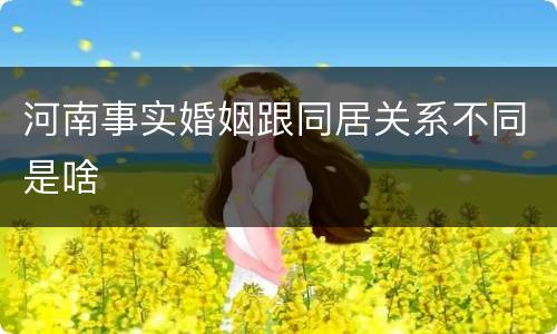河南事实婚姻跟同居关系不同是啥