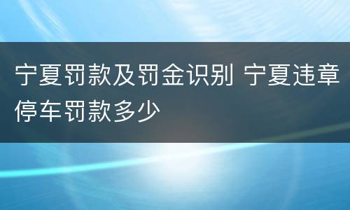 宁夏罚款及罚金识别 宁夏违章停车罚款多少