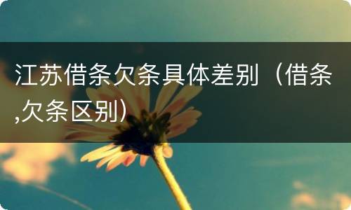 江苏借条欠条具体差别（借条,欠条区别）