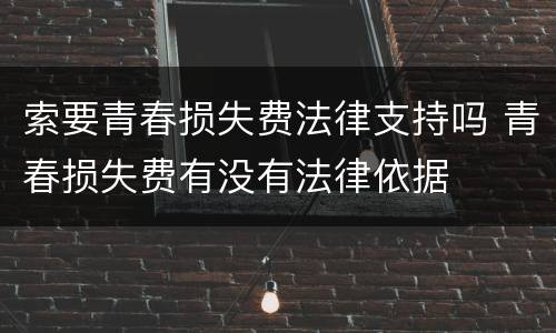 索要青春损失费法律支持吗 青春损失费有没有法律依据