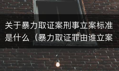 关于暴力取证案刑事立案标准是什么（暴力取证罪由谁立案侦查）