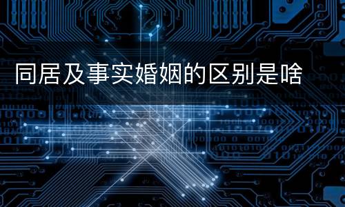 同居及事实婚姻的区别是啥