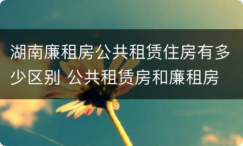 湖南廉租房公共租赁住房有多少区别 公共租赁房和廉租房