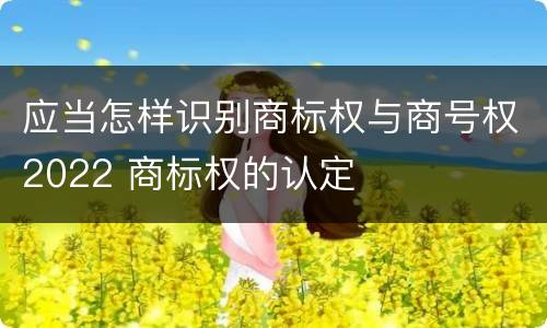 应当怎样识别商标权与商号权2022 商标权的认定