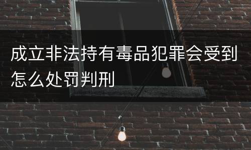 成立非法持有毒品犯罪会受到怎么处罚判刑
