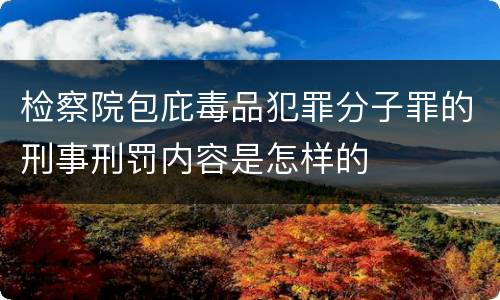 检察院包庇毒品犯罪分子罪的刑事刑罚内容是怎样的