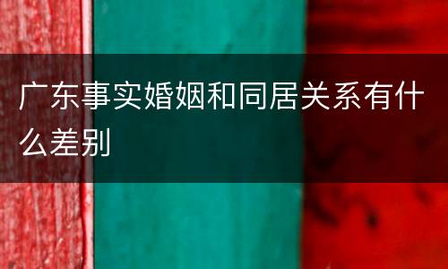 广东事实婚姻和同居关系有什么差别