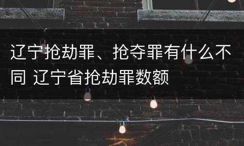 辽宁抢劫罪、抢夺罪有什么不同 辽宁省抢劫罪数额