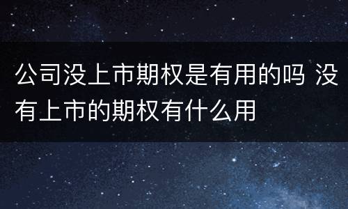 公司没上市期权是有用的吗 没有上市的期权有什么用