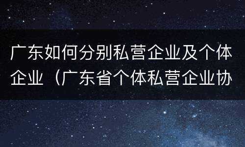 广东如何分别私营企业及个体企业（广东省个体私营企业协会）