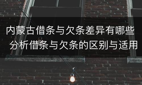 内蒙古借条与欠条差异有哪些 分析借条与欠条的区别与适用要点