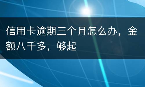 信用卡逾期三个月怎么办，金额八千多，够起