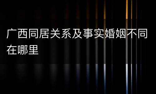 广西同居关系及事实婚姻不同在哪里