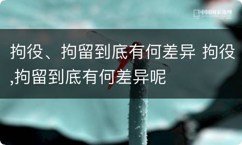 拘役、拘留到底有何差异 拘役,拘留到底有何差异呢