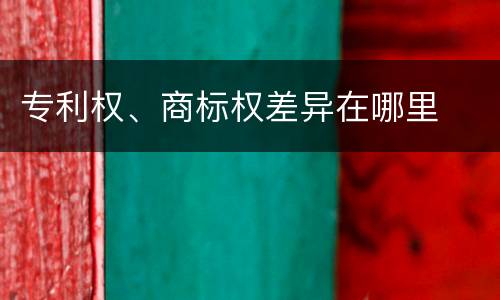 专利权、商标权差异在哪里